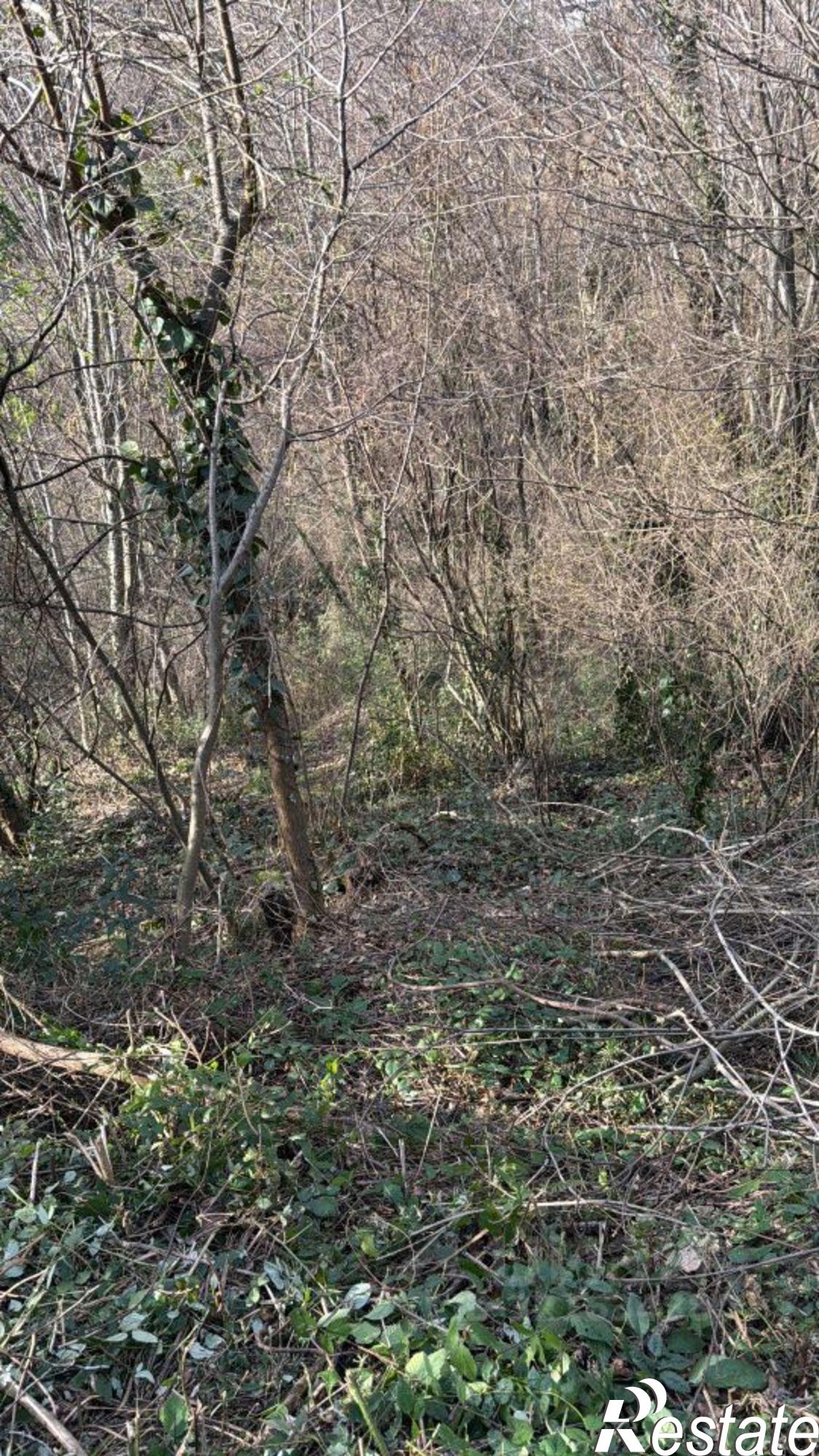 Купить землю, земельный участок за 13 200 000 рублей на ул Тимирязева, 48А