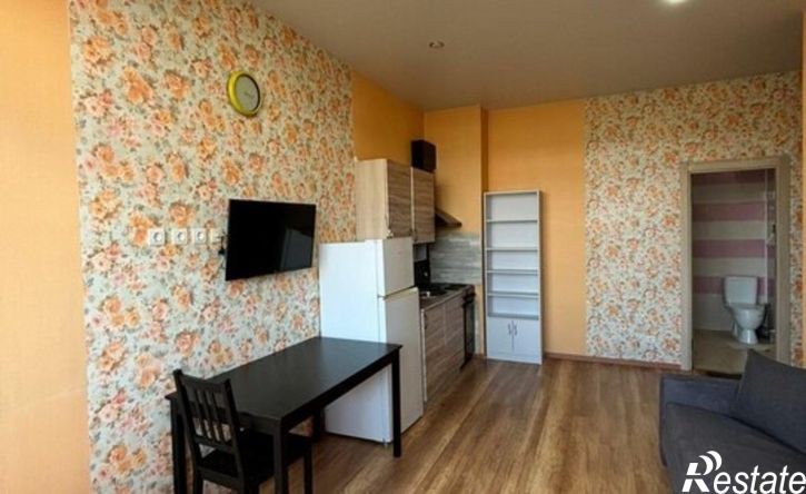 1-комн квартира Пасечная улица, 45Г,  д. 45Г