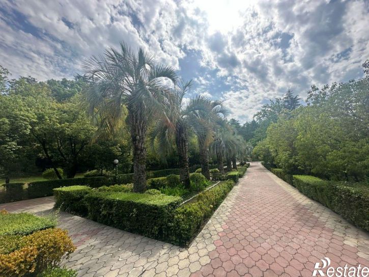 Помещение свободного назначения Политехническая улица, 62,  д. 62