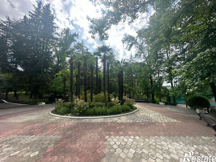 Помещение свободного назначения Политехническая улица, 62,  д. 62