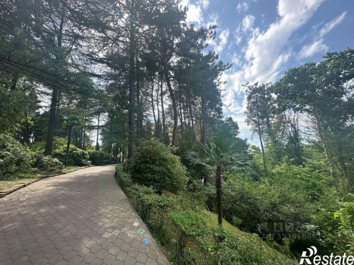 Помещение свободного назначения Политехническая улица, 62,  д. 62