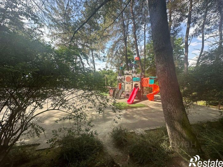 Помещение свободного назначения Политехническая улица, 62,  д. 62