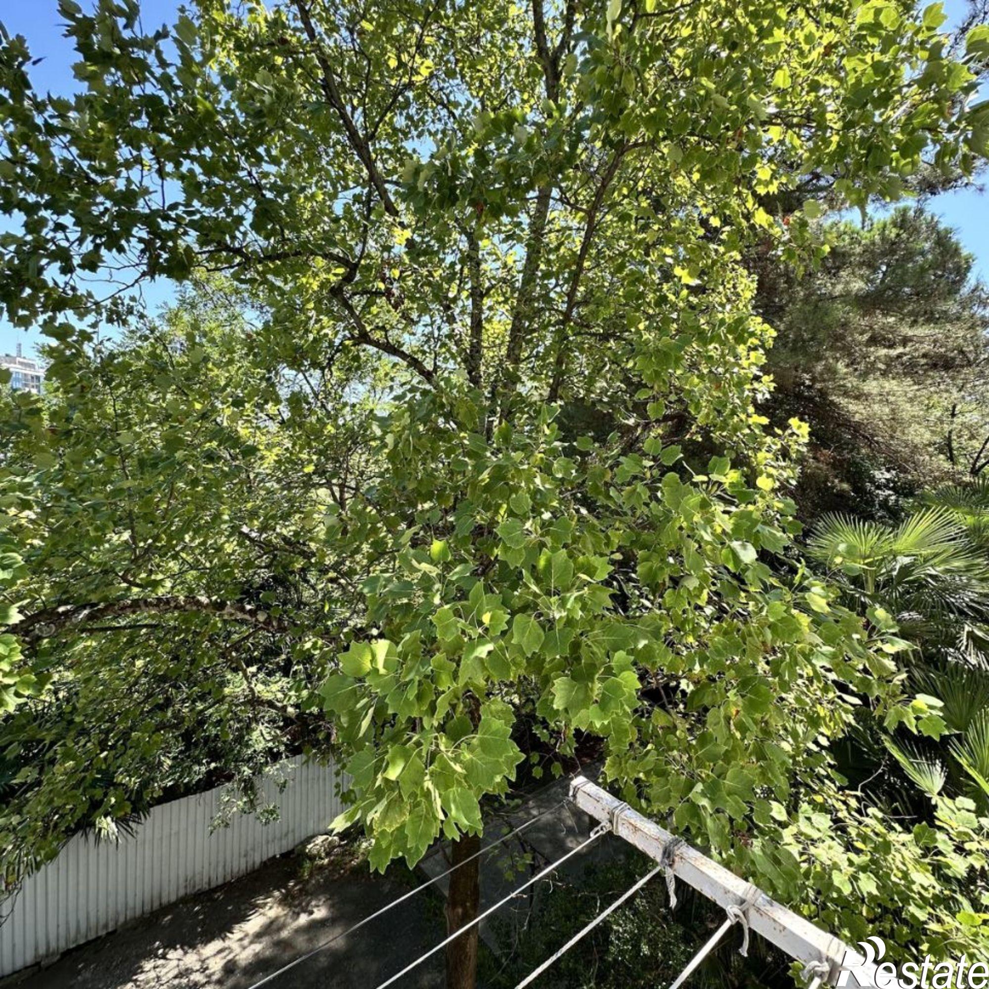 Купить квартиру за 9 990 000 рублей на ул Санаторная, 49/8