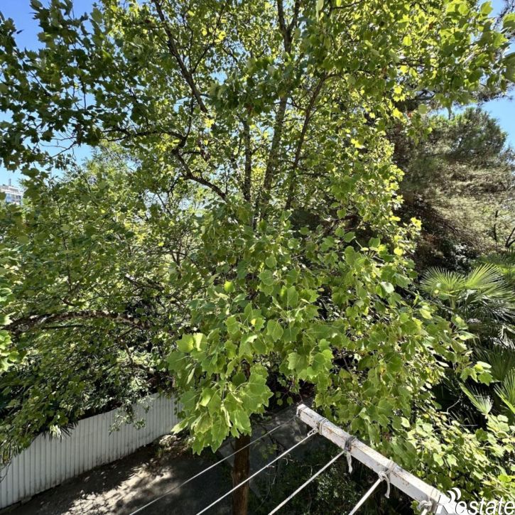 2-комн квартира ул Санаторная, 49/8,  д. 49/8