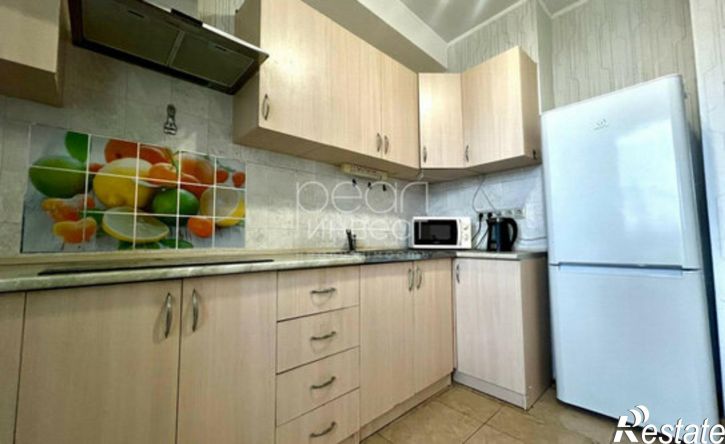 1-комн квартира ул Пасечная, 45Г/1,  д. 45Г/1