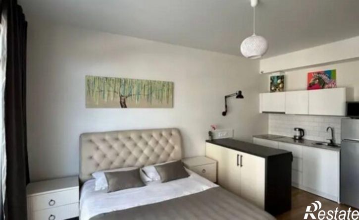 1-комн квартира Виноградная улица, 195/1,  д. 195/1