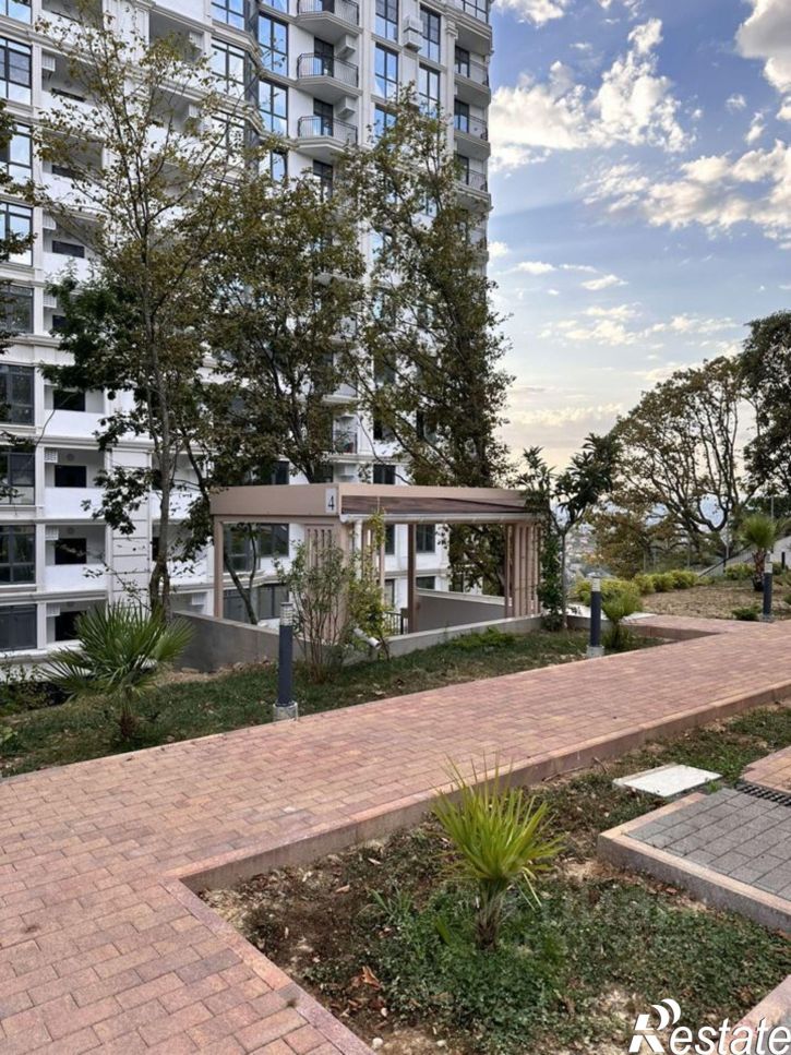 3-комн квартира улица Яна Фабрициуса, 2/23М к2,  д. 2/23М к2