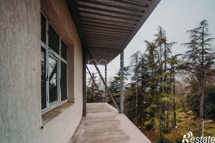 5-комн квартира Курортный проспект, 94/28,  д. 94/28