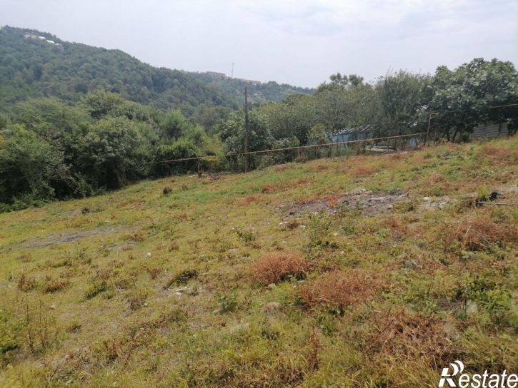 Земельный участок Липовый пер, 48,  д. 48