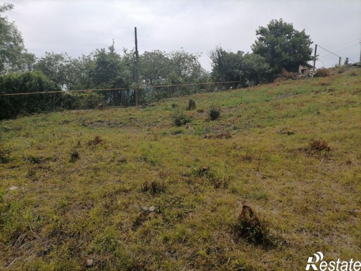 Земельный участок Липовый пер, 48,  д. 48