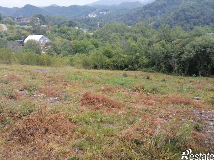 Земельный участок Липовый пер, 48,  д. 48