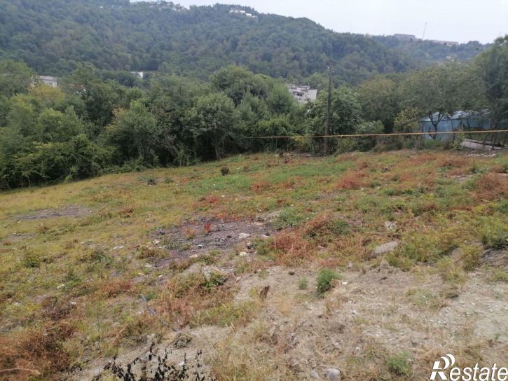 Земельный участок Липовый пер, 48,  д. 48