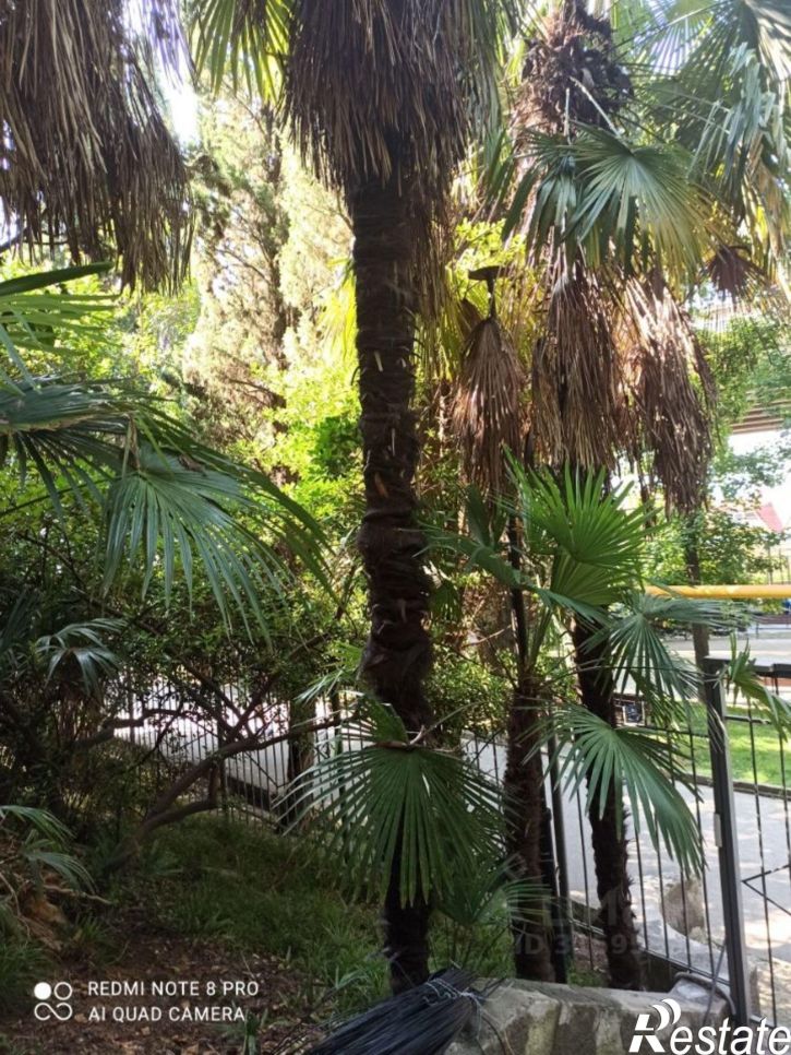 Помещение свободного назначения Шоссейная улица, 12,  д. 12