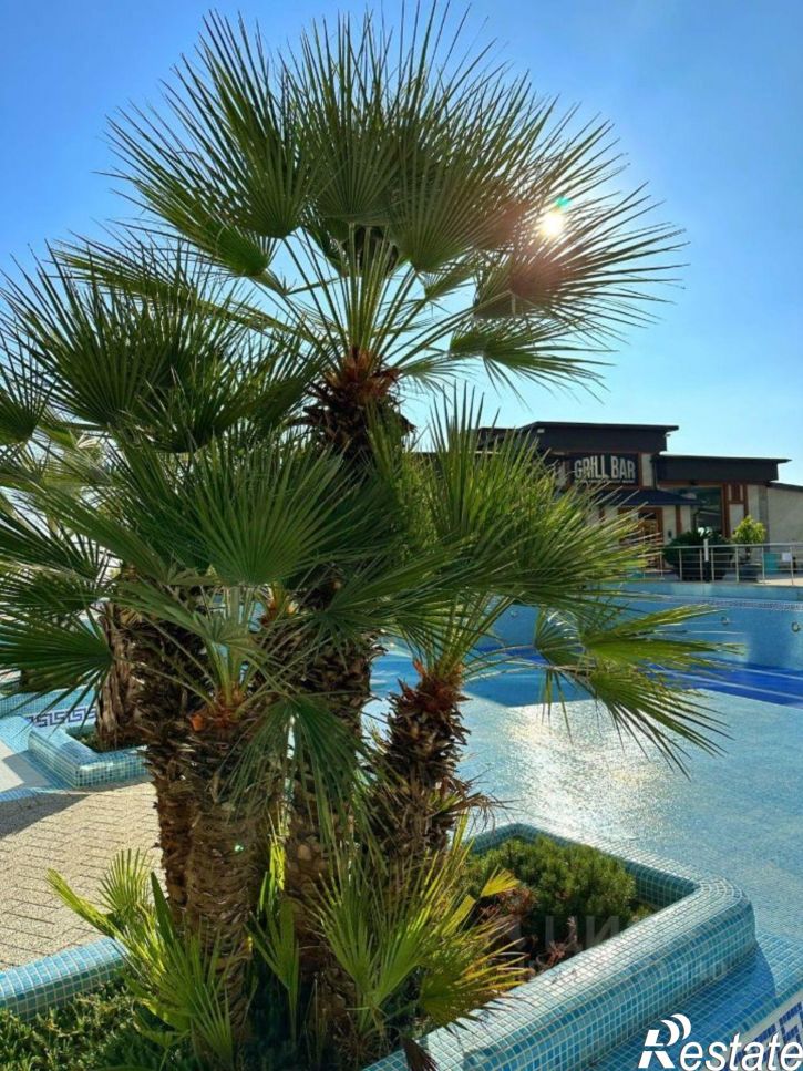 2-комн квартира Прозрачная улица, 35 к5,  д. 35 к5