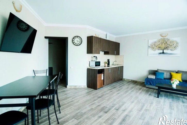 2-комн квартира Сочи, посёлок Лоо