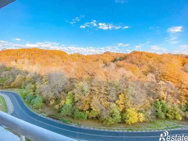 2-комн квартира городской округ Сочи