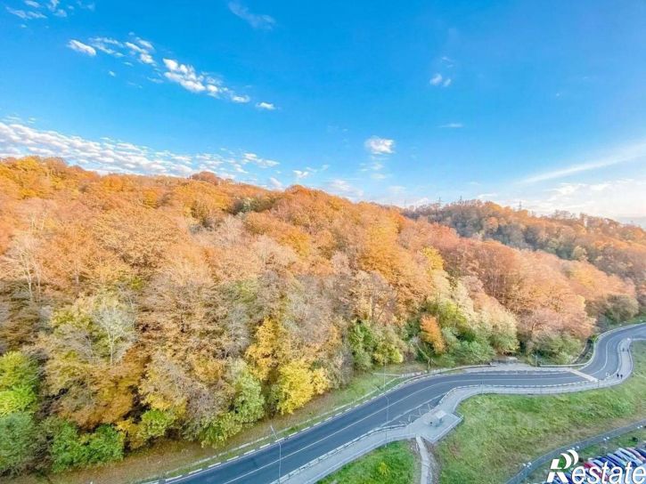 2-комн квартира городской округ Сочи