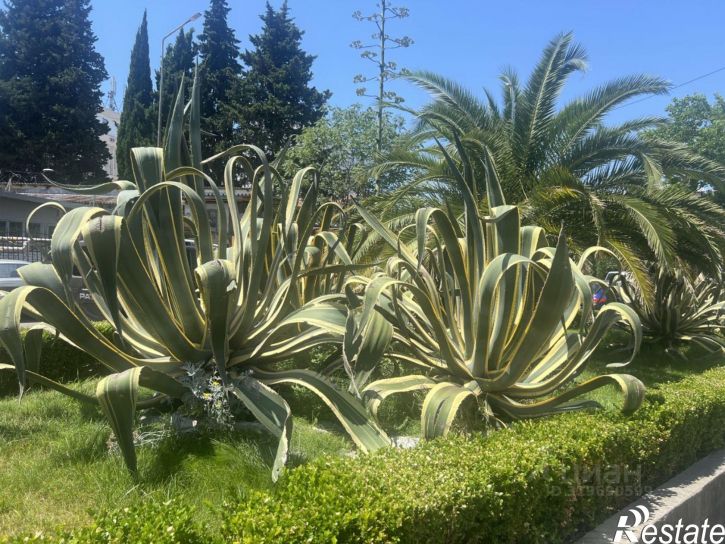 Гараж/парковка улица Горького, 87,  д. 87