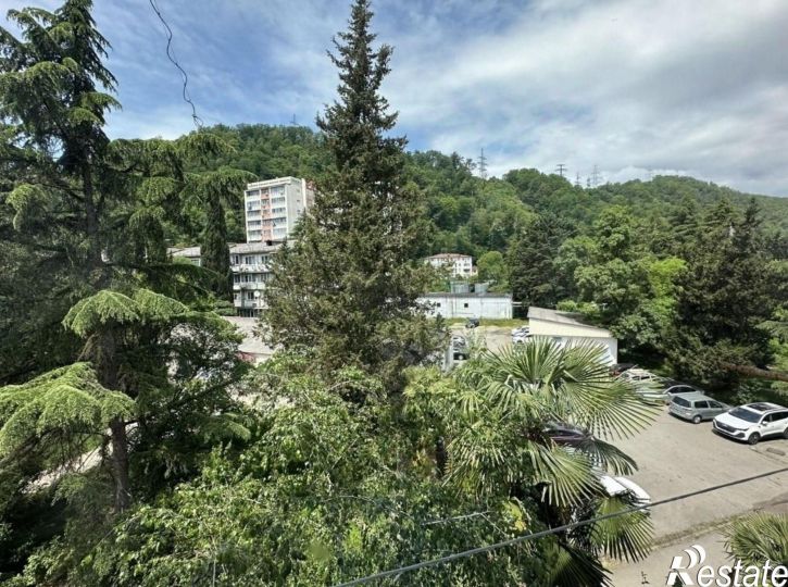 2-комн квартира городской округ Сочи