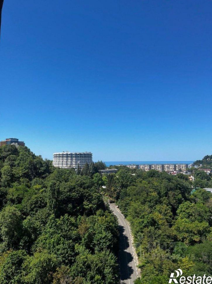 1-комн квартира Сочи