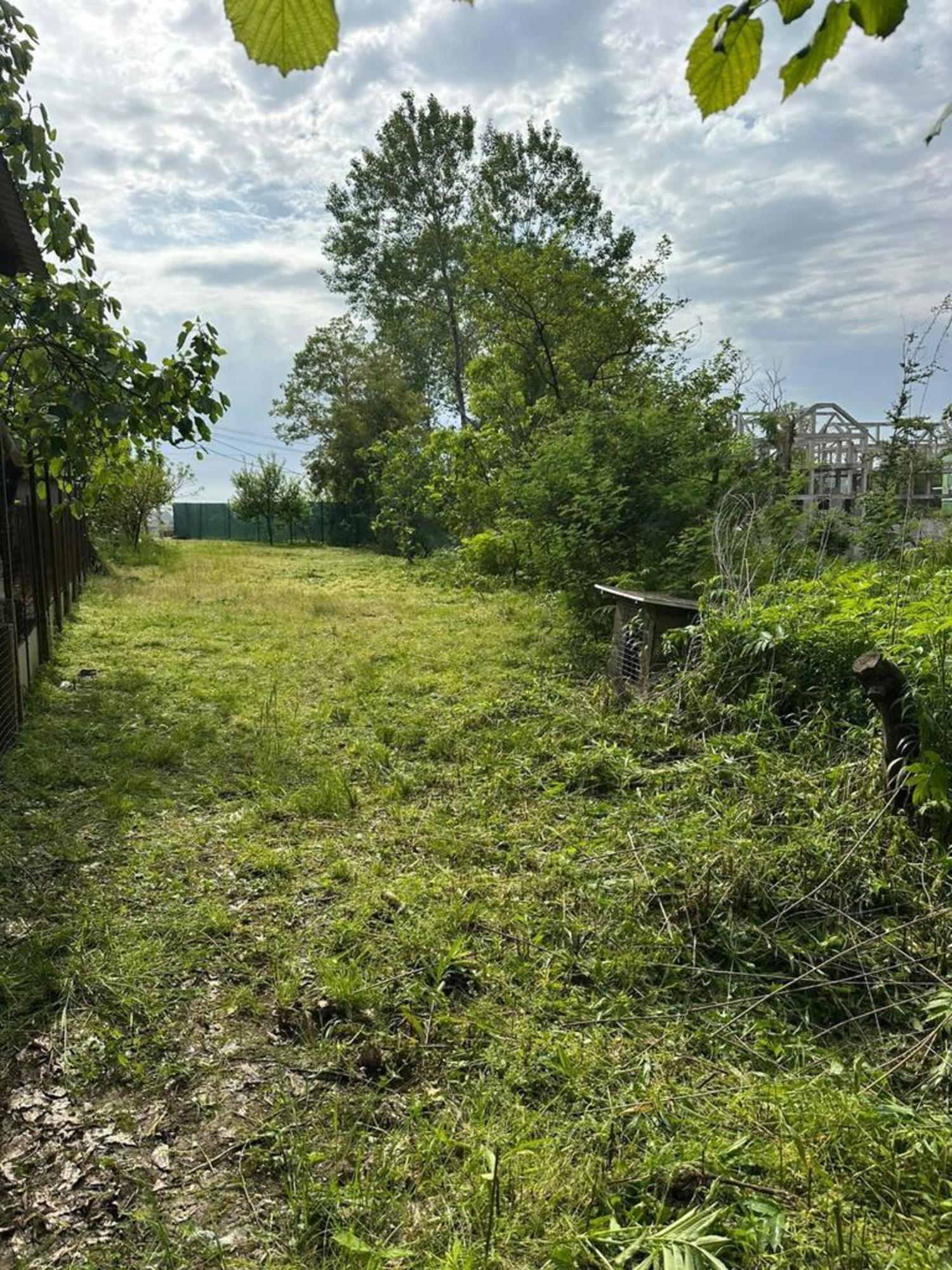 Купить землю, земельный участок за 6 800 000 рублей на Банановая улица