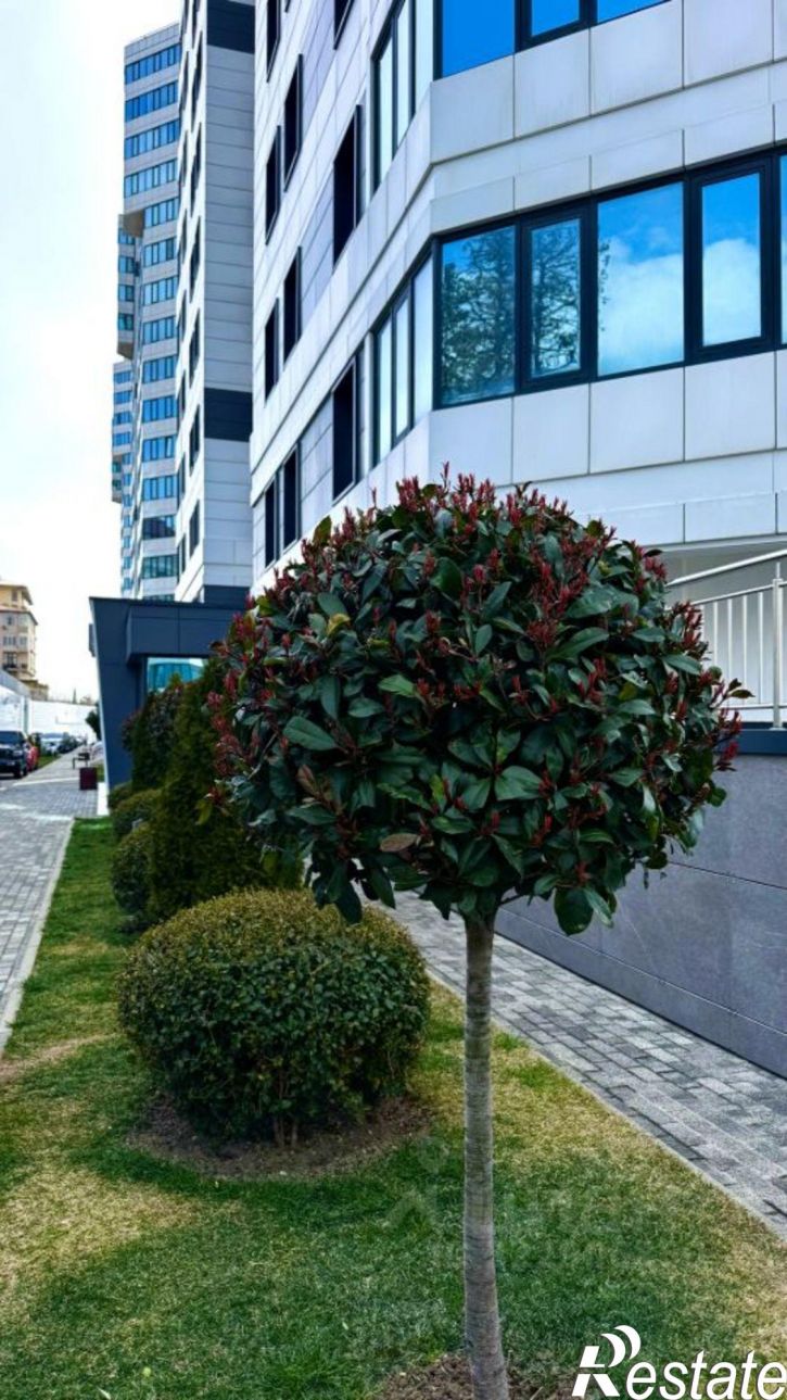 2-комн квартира ул Ленина, 298Б 5,  д. 298Б 5,  к. 5