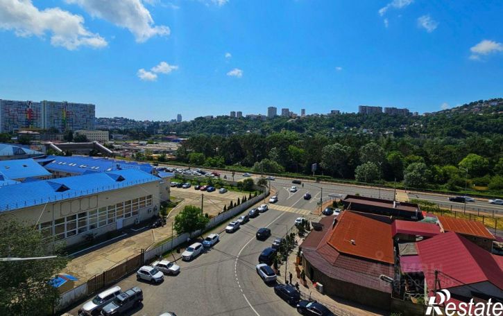 2-комн квартира ул Пластунская, 96,  д. 96