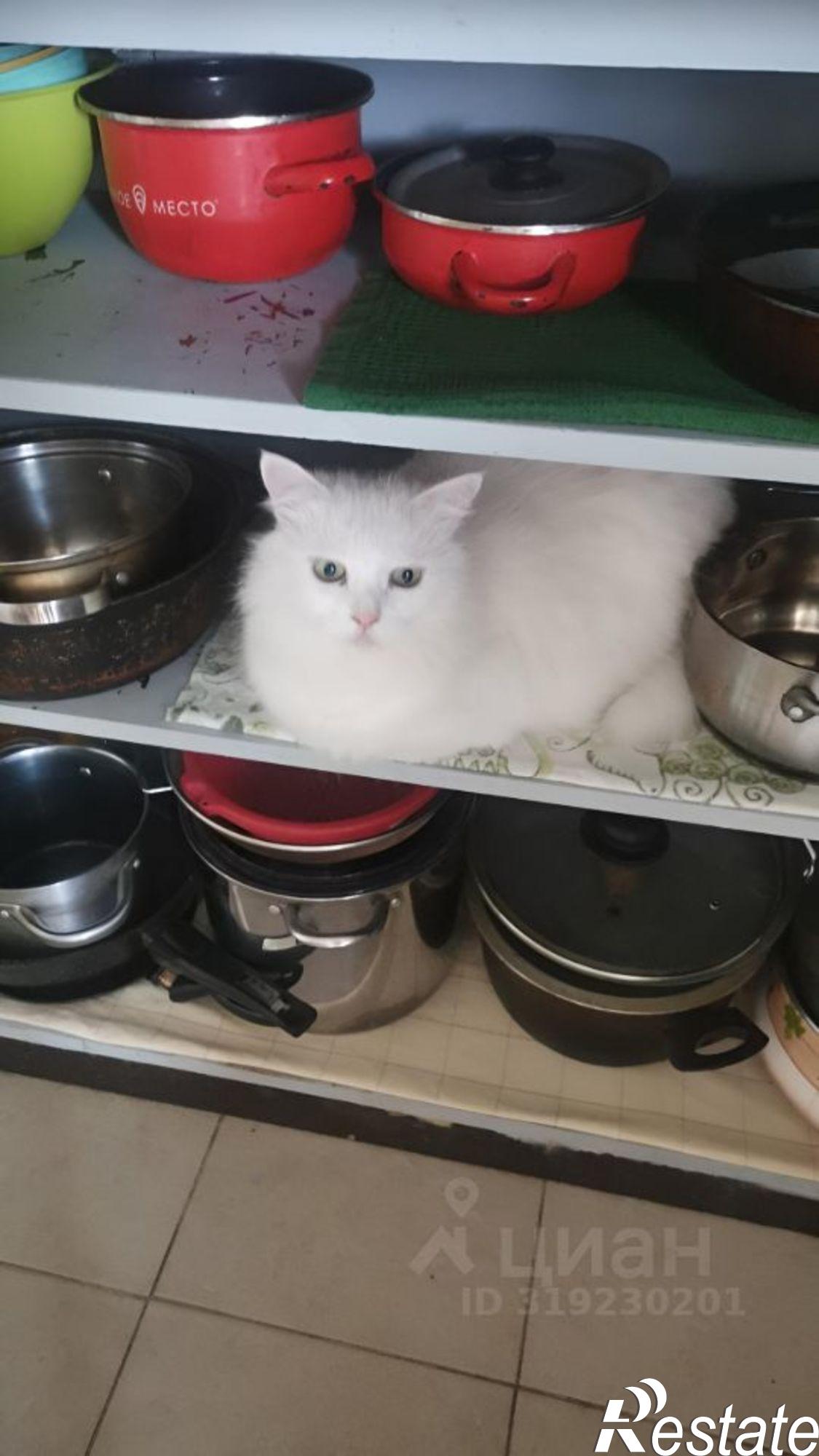 Сдать комнату за 18 000 рублей на ул Семашко, 21/50