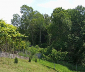 земля 5.5 сот ЖСТ Слава