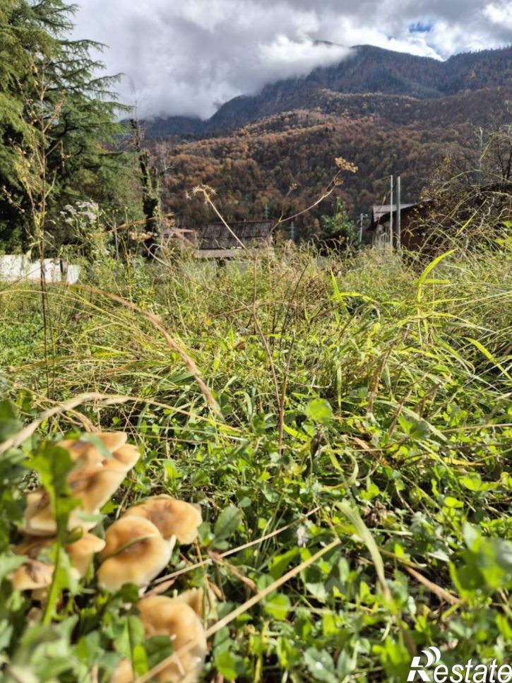 Земельный участок ул Волоколамская, 46,  д. 46