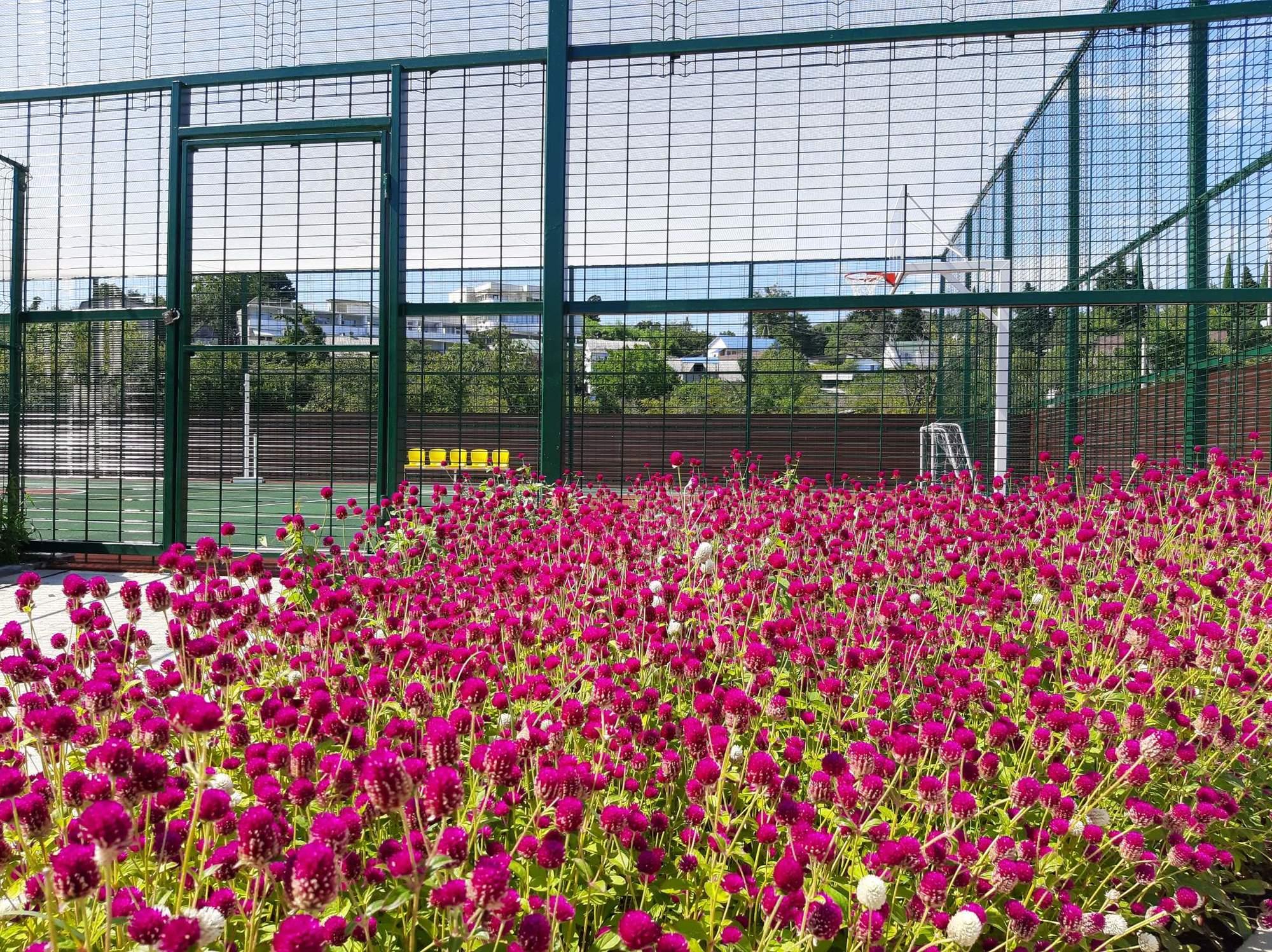 Купить дачу, дом, коттедж за 23 200 000 рублей на Романтиков улица, д.49В8