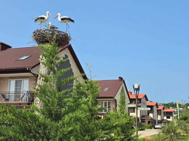 Коттедж/дом Романтиков улица, д.37В9