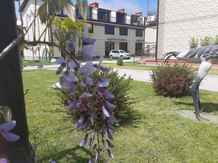 Коттедж/дом Романтиков улица, д.19/5