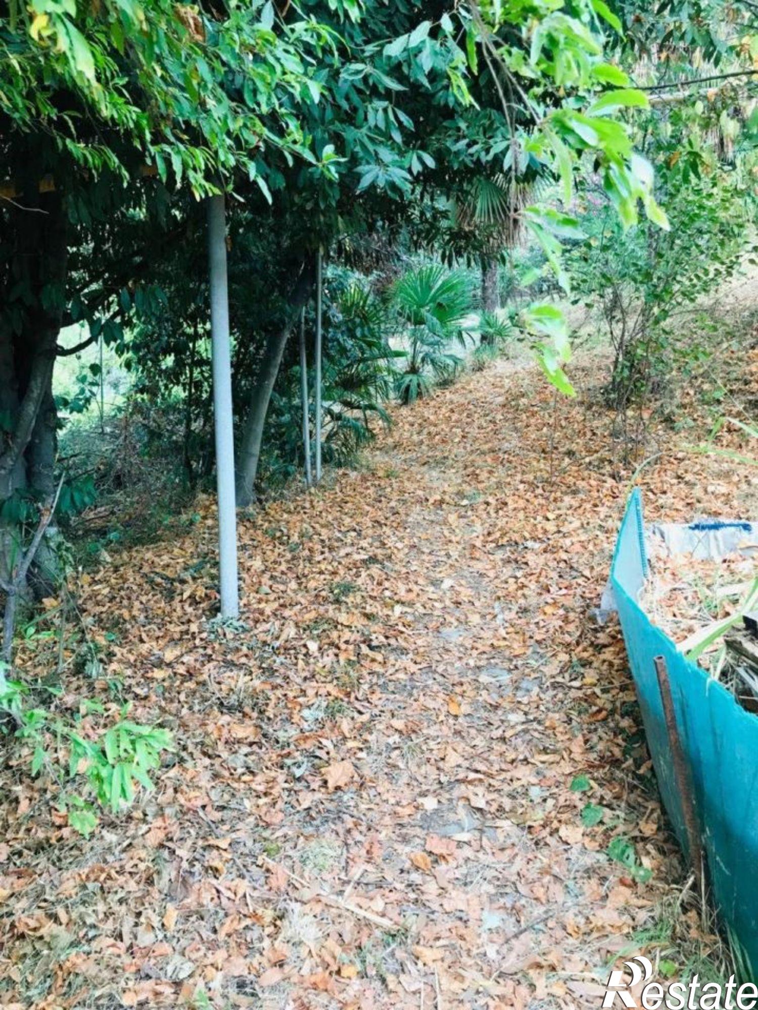 Купить землю, земельный участок за 120 000 000 рублей на Каштановая улица(Ст Южное), 167