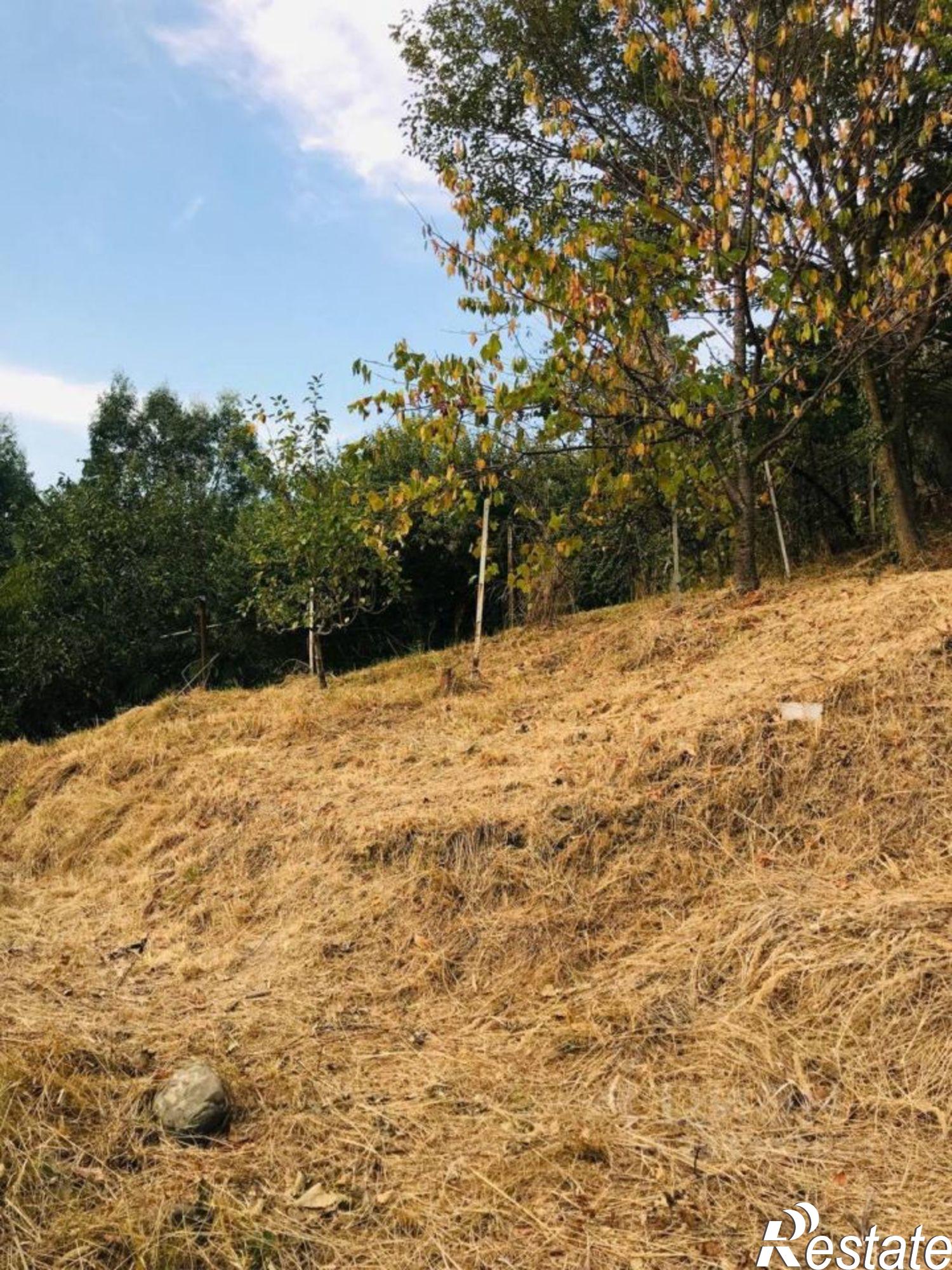 Купить землю, земельный участок за 120 000 000 рублей на Каштановая улица(Ст Южное), 167