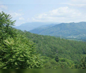 земля 11.24 сот Чайная улица