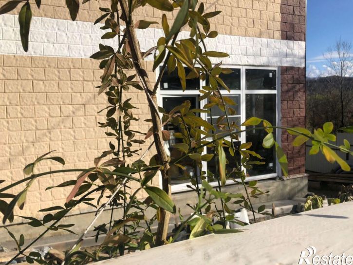 Коттедж/дом городской округ Сочи