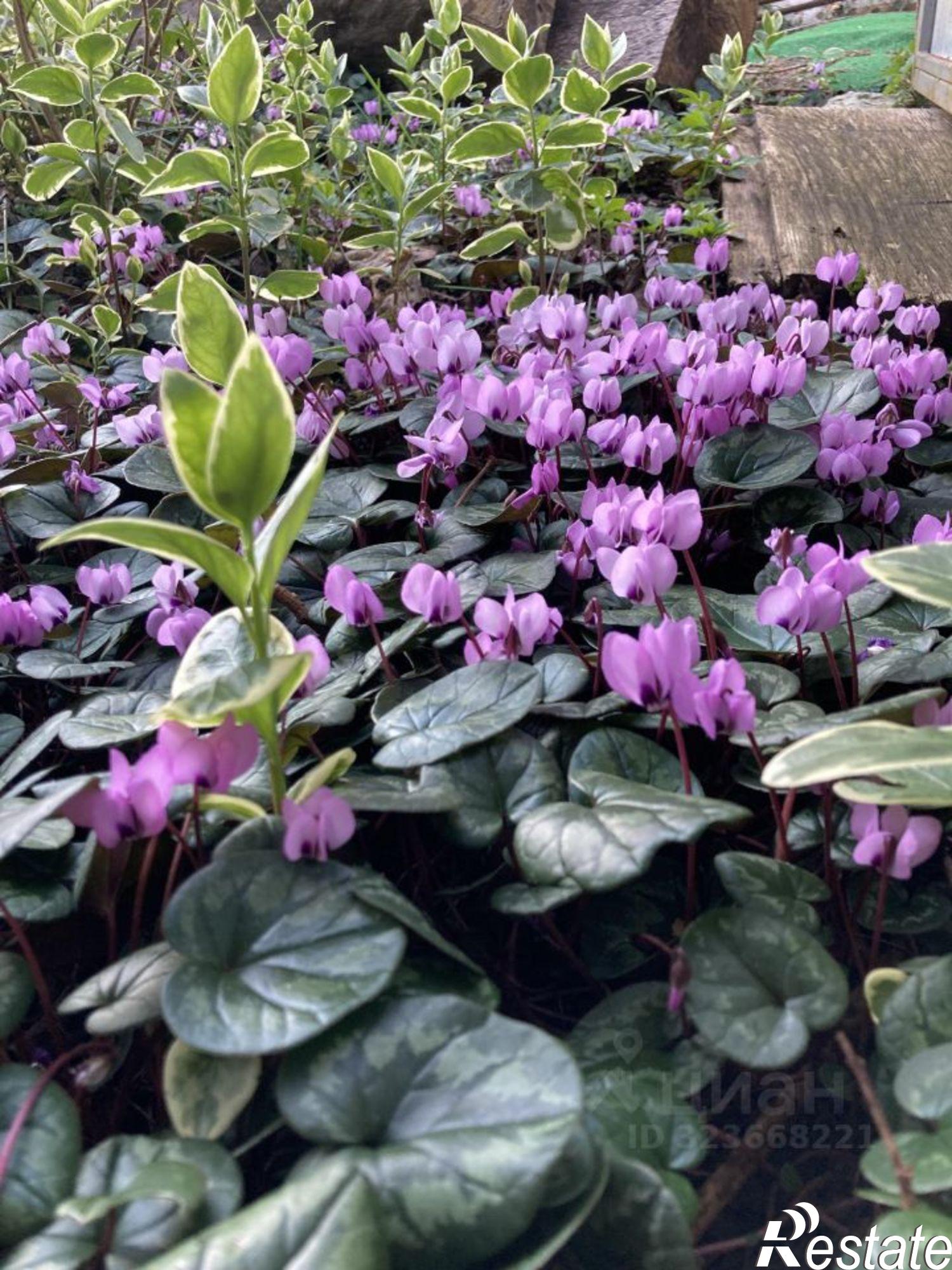 Купить дачу, дом, коттедж за 25 000 000 рублей на ул Циолковского, 30/1