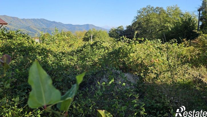 Земельный участок городской округ Сочи