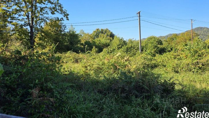 Земельный участок городской округ Сочи