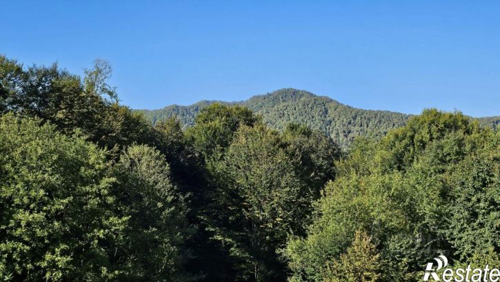 Земельный участок городской округ Сочи