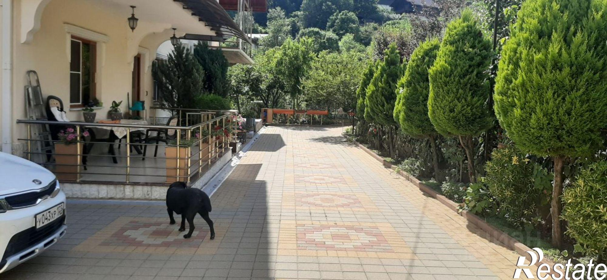 Купить дачу, дом, коттедж за 65 000 000 рублей на СТ 