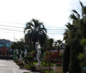 1-комн, 18кв м, этаж 1/3 Аэрофлотская улица, 6