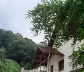 коттедж 570 кв м СТ 