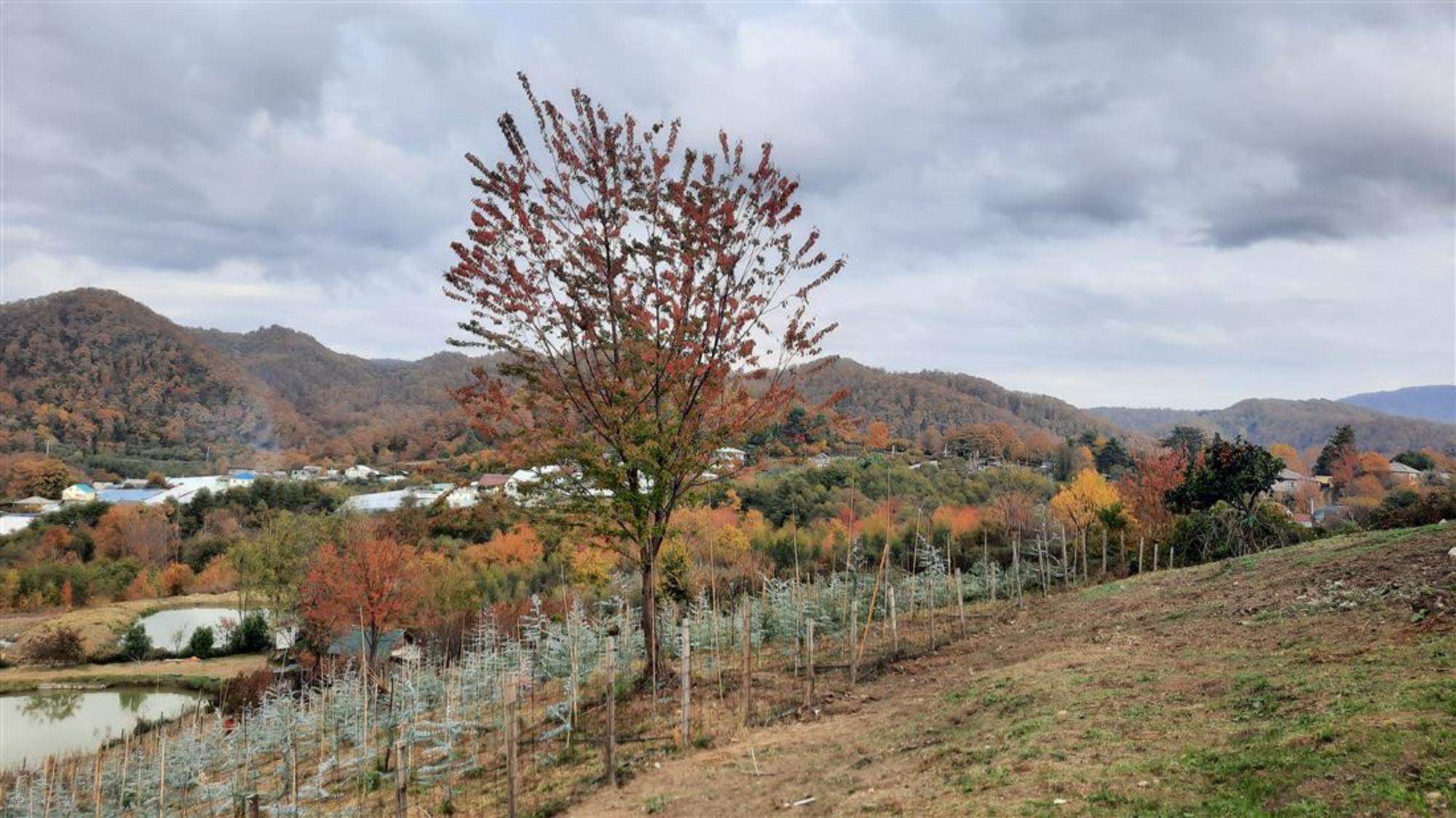 Купить землю, земельный участок за 20 000 000 рублей на ул Октемберянская, д. 15