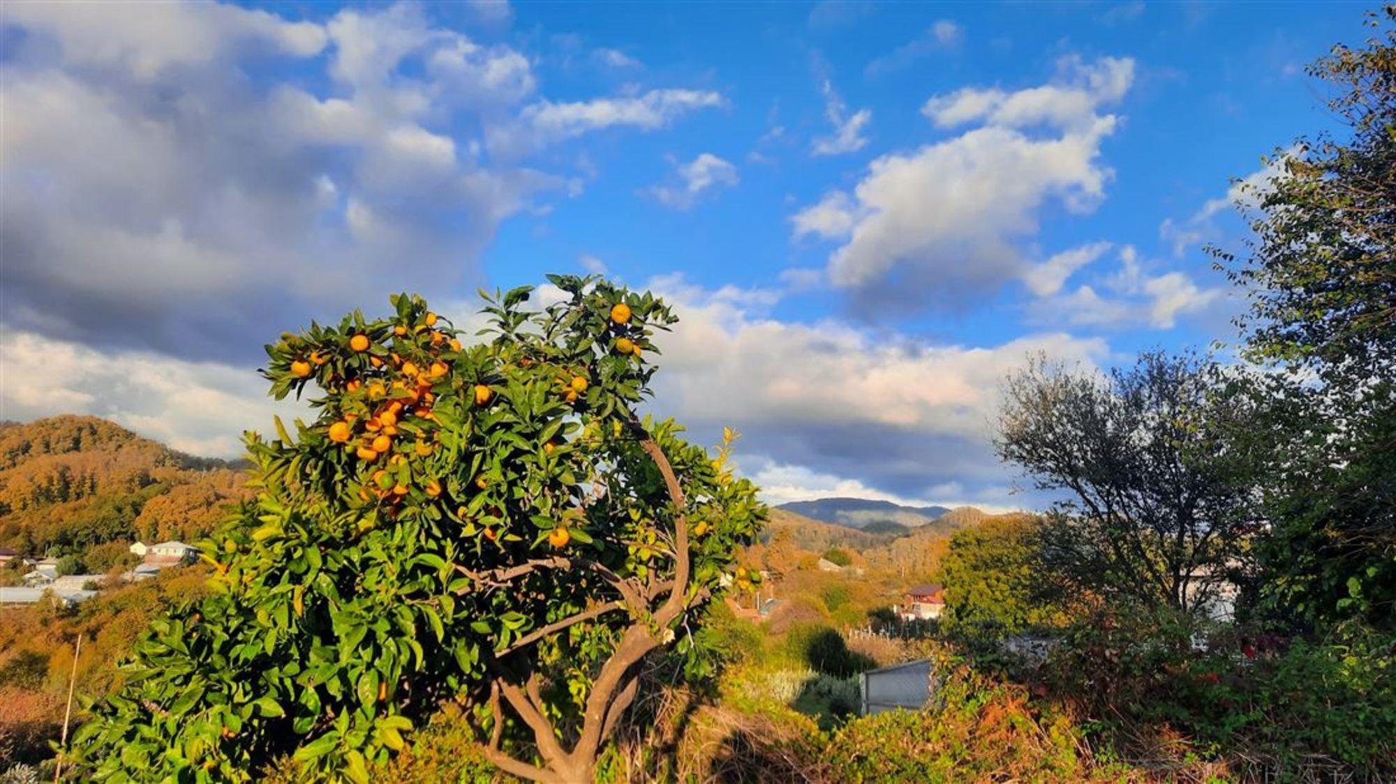 Купить землю, земельный участок за 20 000 000 рублей на ул Октемберянская, д. 15