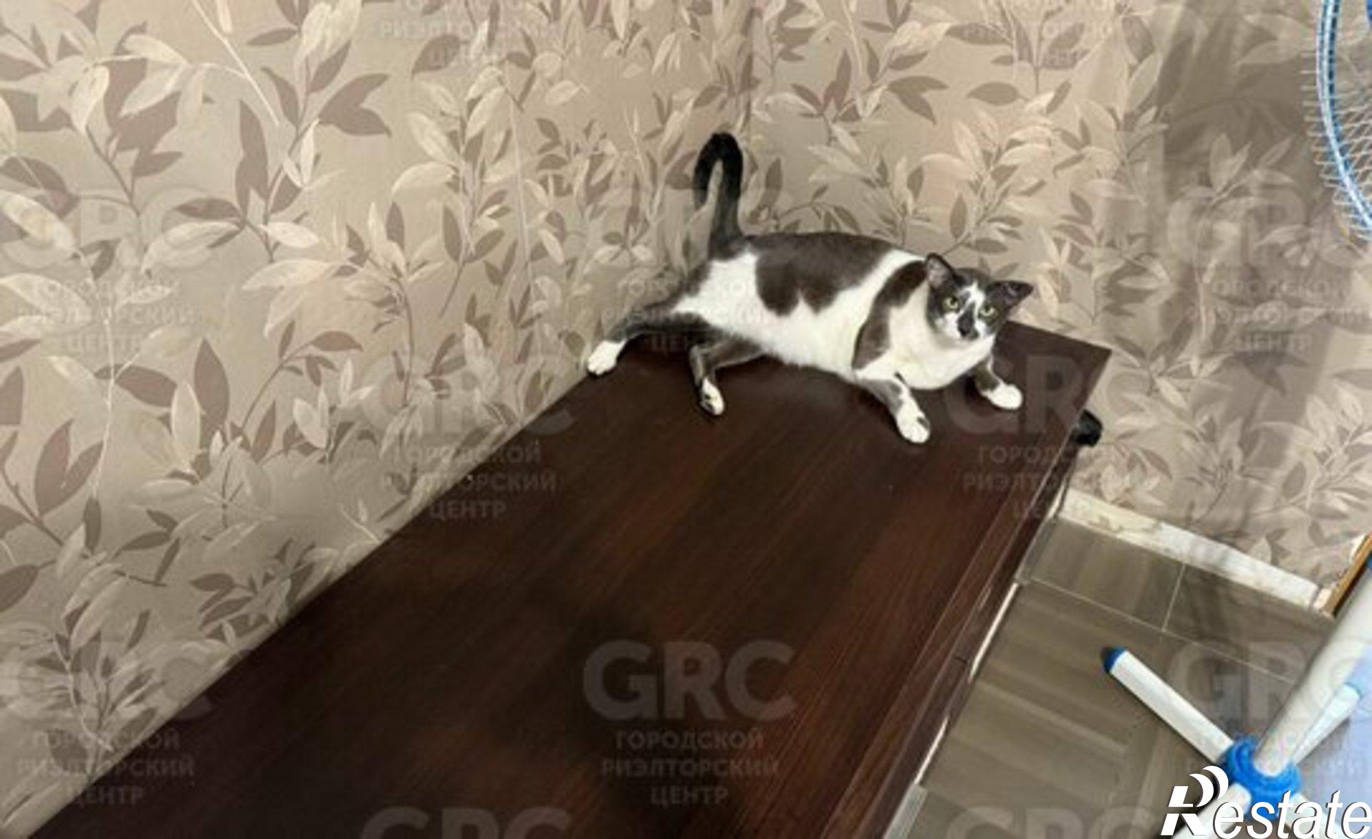 Купить квартиру за 13 650 000 рублей на Лесная улица, 19