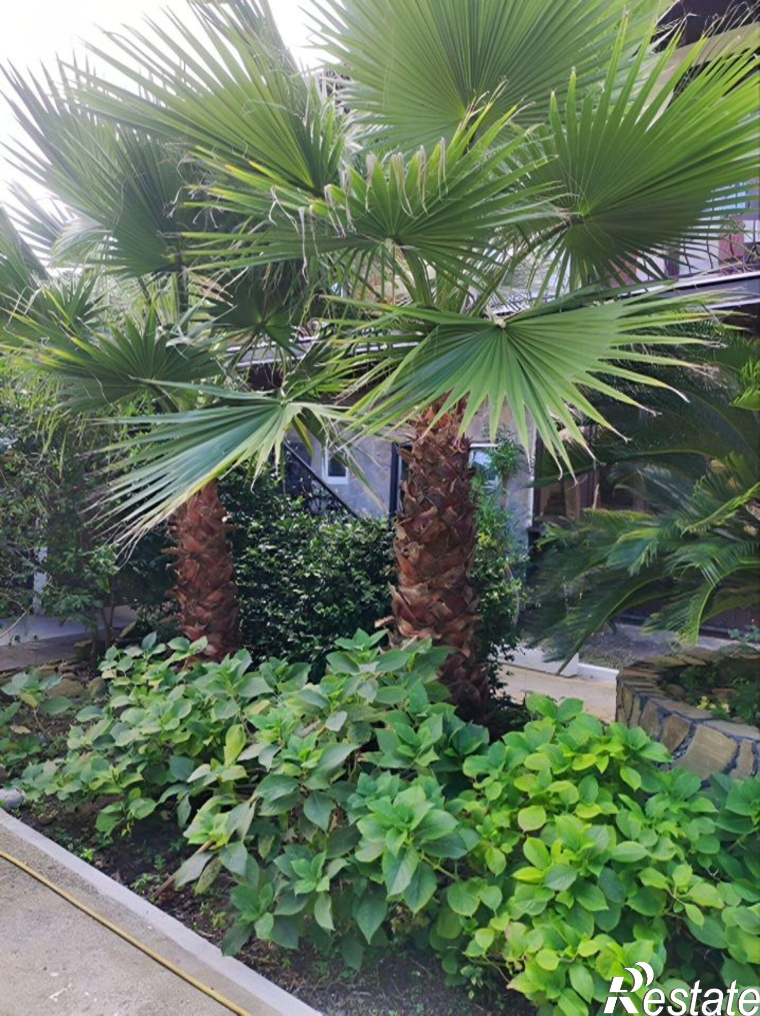 Купить квартиру за 2 500 000 рублей на ул Разина, 46А