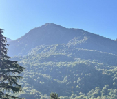 1-комн, 48кв м, этаж 2/3 ул Вознесенская, 23А