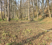 земля 20 сот ул Волоколамская, 46